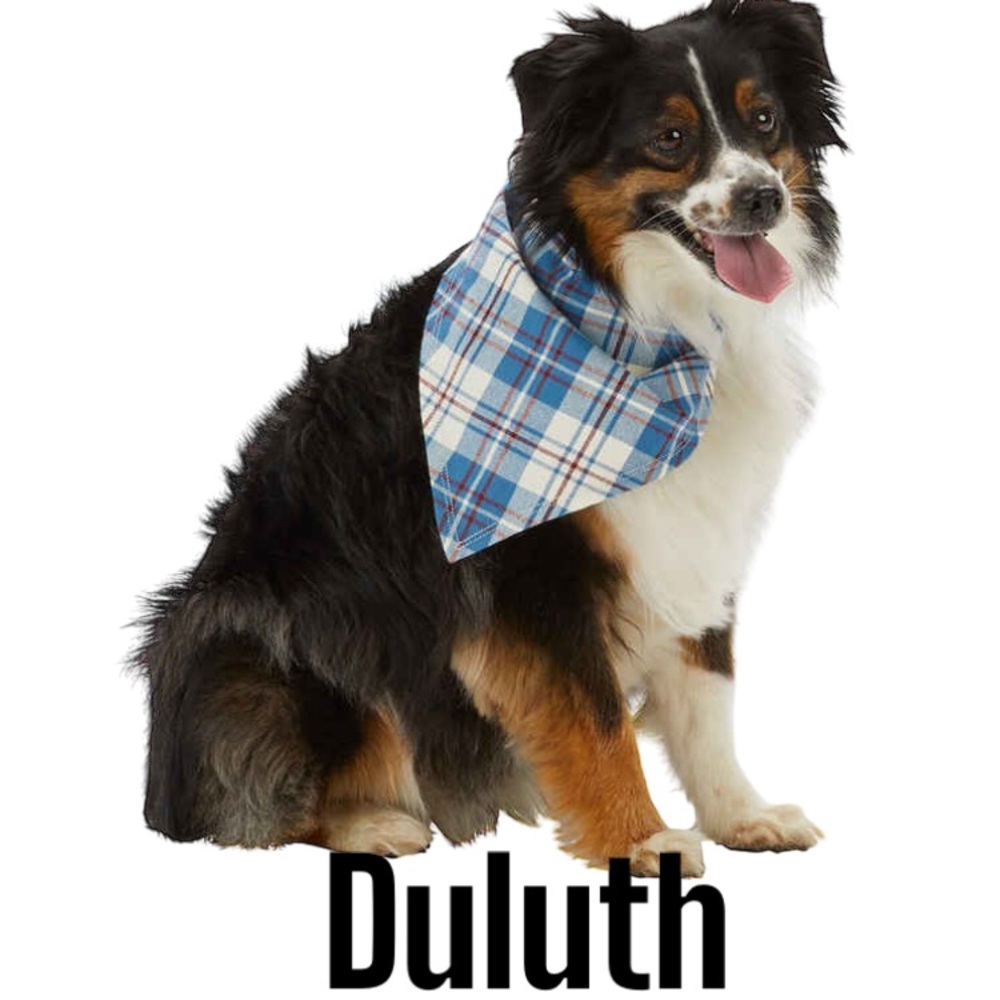 Duluth Pet Bandana